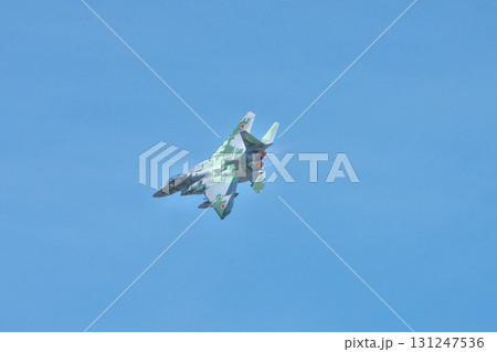 アグレッサー 131247536