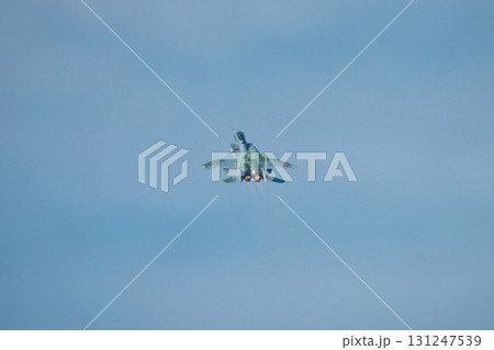 アグレッサー アグレッサー 131247539