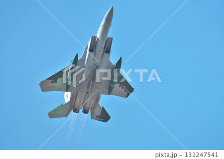 アグレッサー アグレッサー 131247541