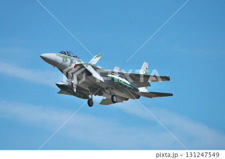 アグレッサー 131247549