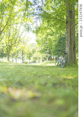 新緑・初夏のサイクリングイメージ (蒜山高原) 新緑・初夏のサイクリングイメージ (蒜山高原) 131247936