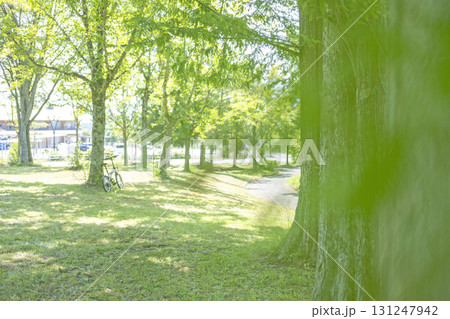 新緑・初夏のサイクリングイメージ　（蒜山高原） 131247942