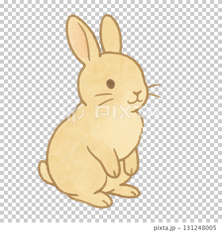 うさぎのイラスト 131248005