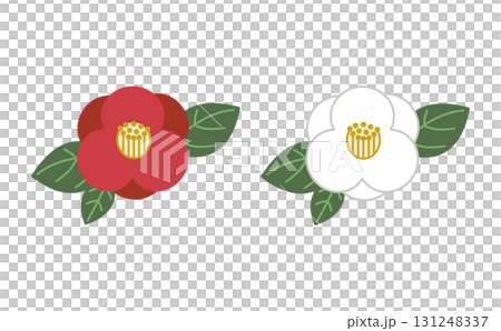 Set of two red and white camellia illustrations (colored) 131248337