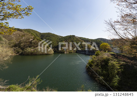 春の長野県上伊那郡箕輪町にあるもみじ湖 131248645