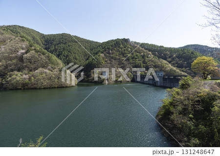 春の長野県上伊那郡箕輪町にあるもみじ湖 131248647