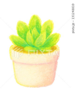 鉢植えのグリーン多肉植物 オイルパステルイラスト PNG 透過背景 131248810