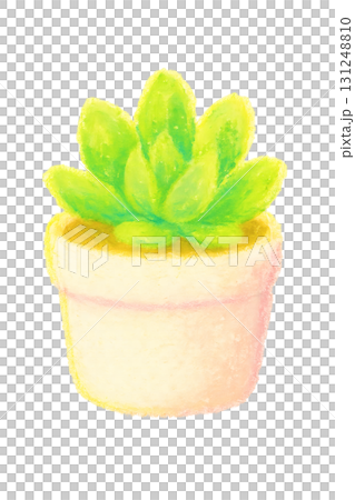 盆栽綠色多肉植物油畫棒插畫PNG透明背景 131248810