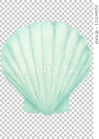 パステルミントのホタテ貝殻 水彩イラスト PNG 透過背景 131248852