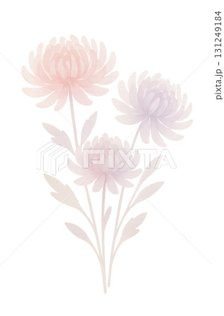 秋色の菊の花束 水彩イラスト PNG 透過背景 131249184