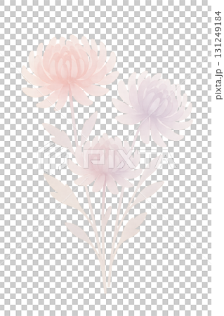 秋色の菊の花束 水彩イラスト PNG 透過背景 131249184