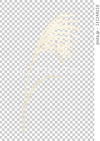 シンプルなススキのイラスト 水彩イラスト PNG 透過背景 シンプルなススキのイラスト 水彩イラスト PNG 透過背景 131249218