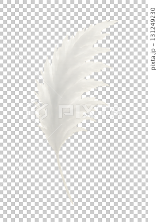 白い尾花の穂 水彩イラスト PNG 透過背景 白い尾花の穂 水彩イラスト PNG 透過背景 131249230