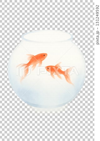 透明な金魚鉢と金魚2匹 水彩イラスト PNG 透過背景 透明な金魚鉢と金魚2匹 水彩イラスト PNG 透過背景 131249592