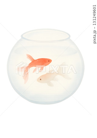 赤と白の金魚が泳ぐ透明な金魚鉢 水彩イラスト PNG 透過背景 131249601