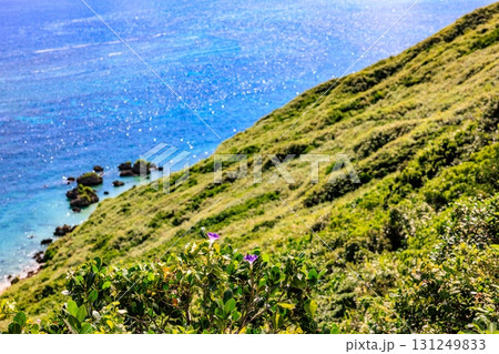 青空と海が広がる宮古島 比嘉ロードパークの昼の風景 131249833
