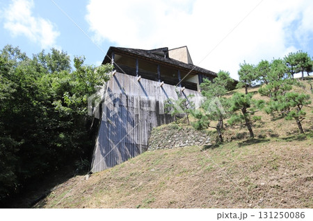 秋野不矩美術館　浜松　静岡 131250086