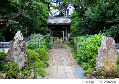 龍潭寺 奥浜名湖 静岡県 龍潭寺 奥浜名湖 静岡県 131250228