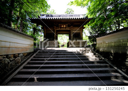 龍潭寺　奥浜名湖　静岡県 131250245