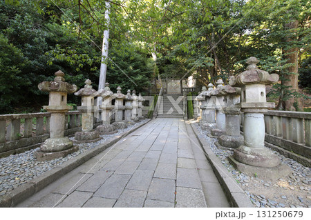 久能山東照宮 静岡県 駿河 久能山東照宮 静岡県 駿河 131250679