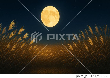 ススキ原に浮かぶ満月 131250827