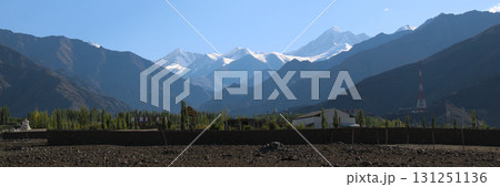 Village Stok and snow capped mountains, Ladakh, India. 131251136