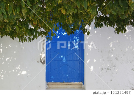 チュニスのシディ・ブ・サイドの青い扉と白壁 131251497