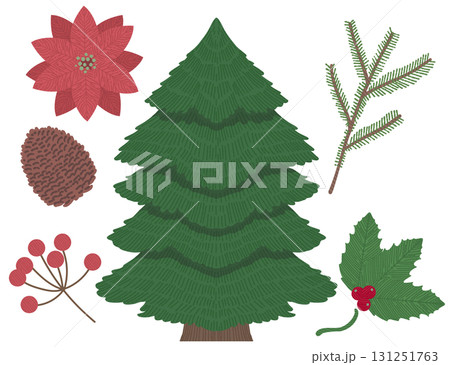 ホリデーシーズンを彩るかわいい植物のイラスト 131251763
