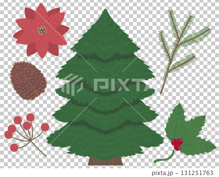 ホリデーシーズンを彩るかわいい植物のイラスト 131251763