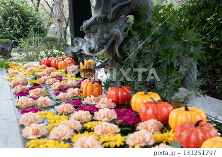 秋のHANA・BIYORI 131251797