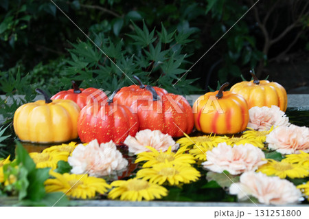 秋のHANA・BIYORI 131251800