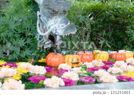 秋のHANA・BIYORI 131251801