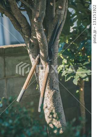 Japanese Gardener 131251922