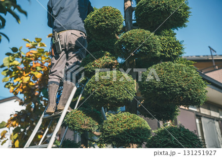 Japanese Gardener Japanese Gardener 131251927