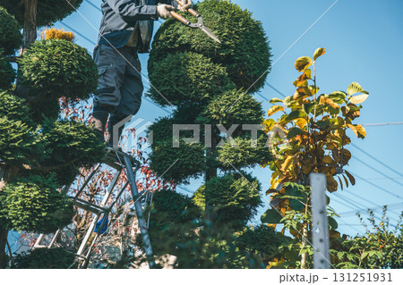Japanese Gardener Japanese Gardener 131251931