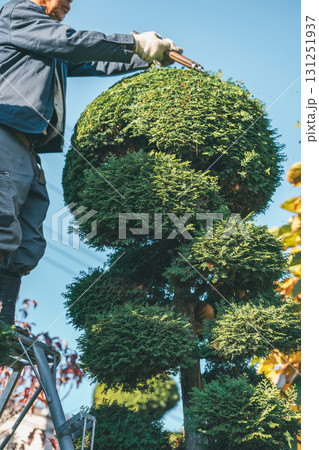 Japanese Gardener Japanese Gardener 131251937