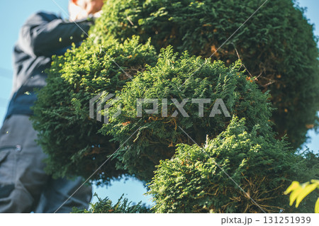 gardener 131251939