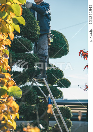 Japanese Gardener 131251943