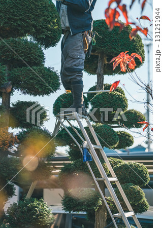 Japanese Gardener 131251944