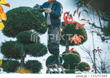 Japanese Gardener 131251949