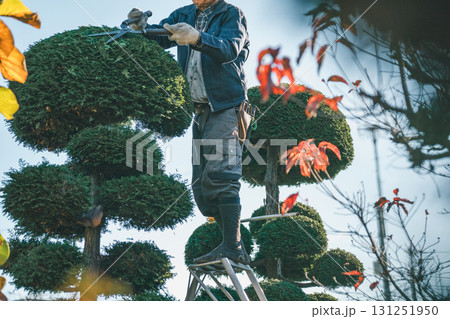 Japanese Gardener 131251950