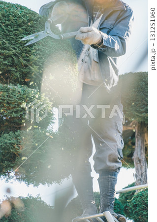 Japanese Gardener 131251960