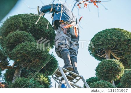 Japanese Gardener 131251967