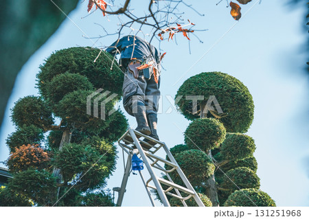 Japanese Gardener 131251968