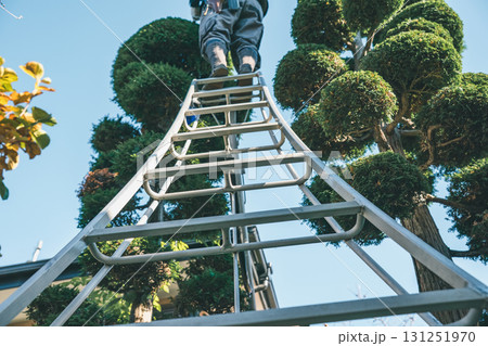 Japanese Gardener 131251970