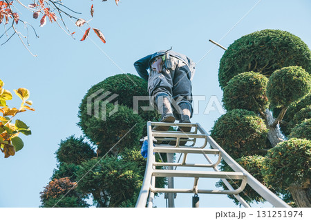 gardener 131251974