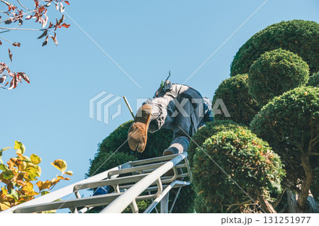 Japanese Gardener 131251977