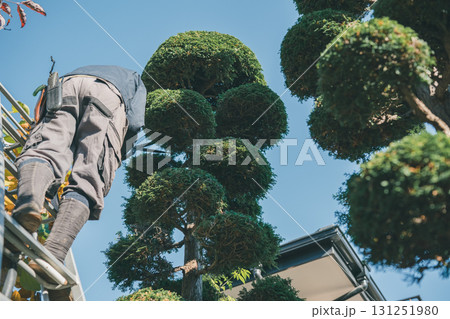 Japanese Gardener 131251980