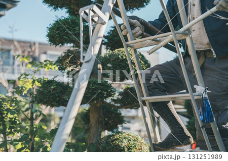 Japanese Gardener Japanese Gardener 131251989