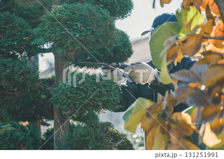 Japanese Gardener Japanese Gardener 131251991